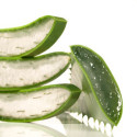 Gel Pur d'Aloe Vera Bio 99.7%