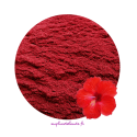 Poudre d'Hibiscus BIO d'Egypte