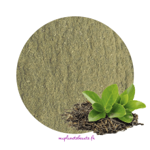 Thé vert (poudre)