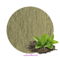 Thé vert (poudre)