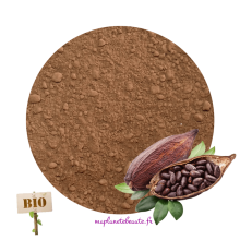 Poudre de Cacao Amer Biologique
