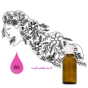 Provitamine B5 (Panthénol)