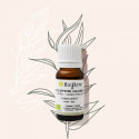 Huile Essentielle d'Eucalyptus Globulus Bio - Bioflore