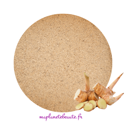 Galanga Bio en Poudre - Vigueur Capillaire & Eclat Naturel - MA PLANETE BEAUTE