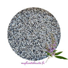 Graines de Gattilier Bio - Plante Féminine Par Excellence