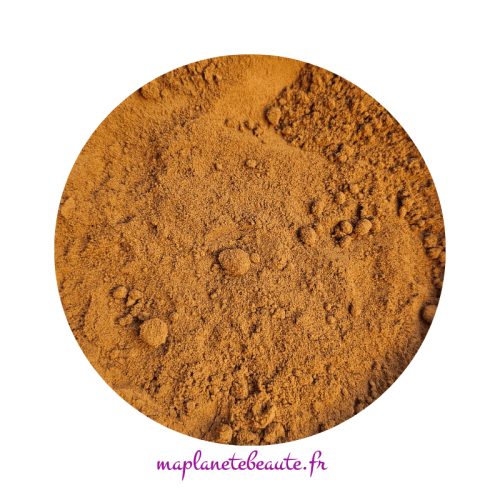 Poudre de Clous de Girofle Bio - Anti-Chute, Pousse & Fortifiante - MA PLANETE BEAUTE