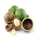 Huile végétale de macadamia vierge Bio