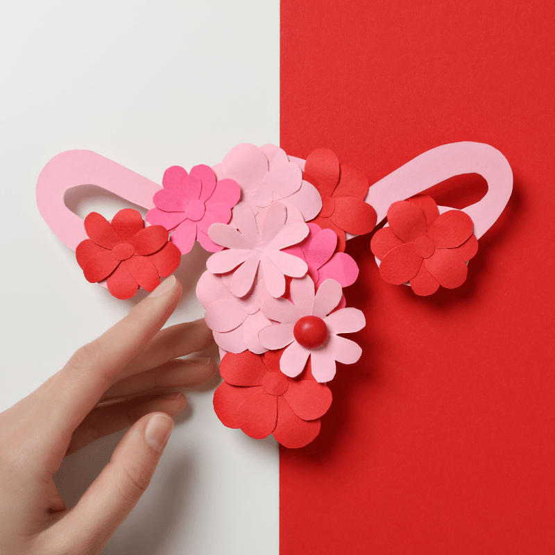 Gattilier Bio - MA PLANETE BEAUTE