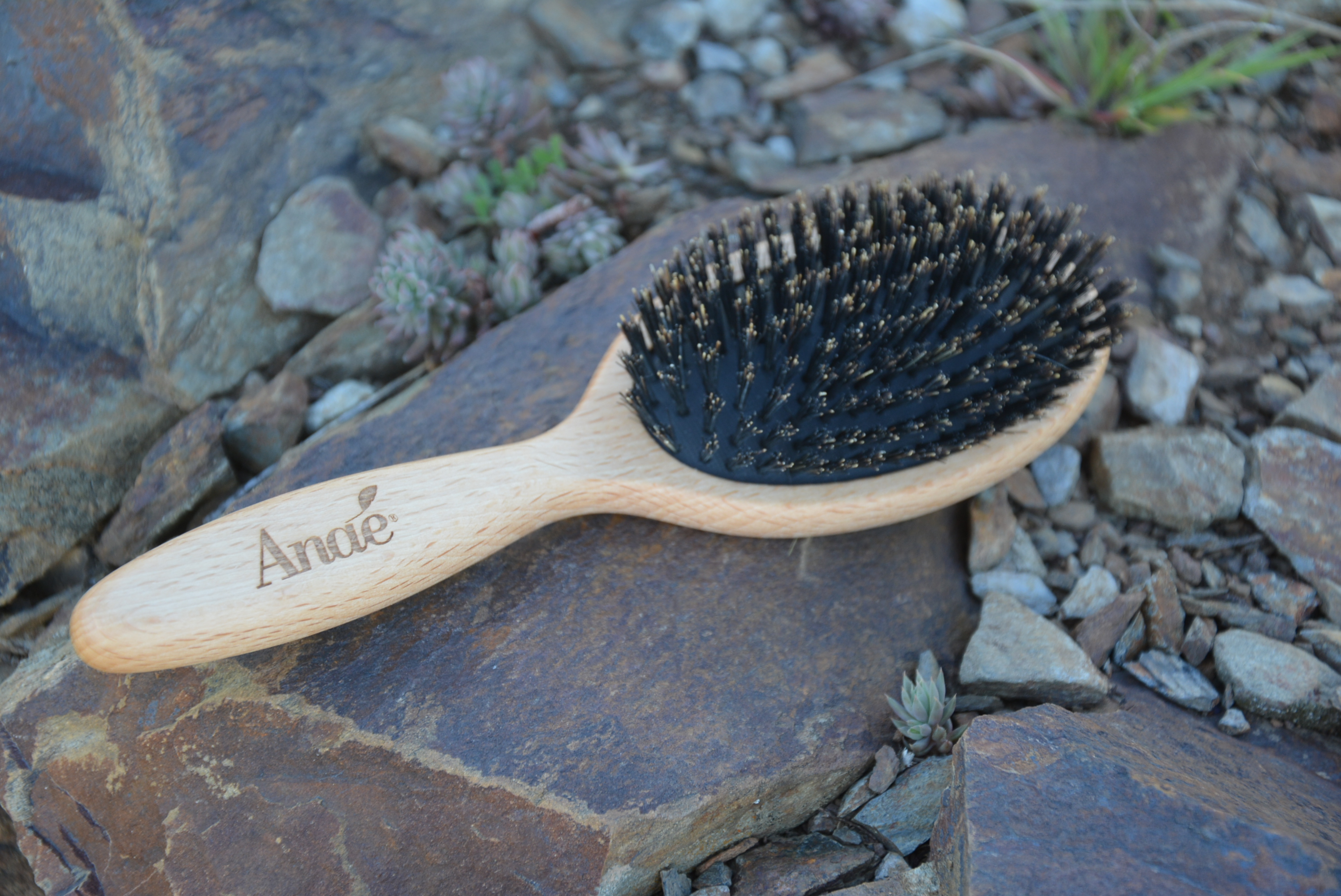 Brosse plate sanglier à coussin - Anaé - MA PLANETE BEAUTE