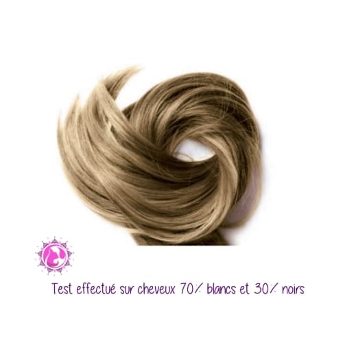 Test coloration blond foncé Phitofilos