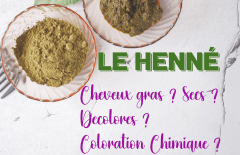 Le Henné : Questions Partie 2