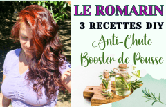 LE ROMARIN - 3 Recettes DIY