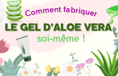 FABRIQUER LE GEL D'ALOE VERA