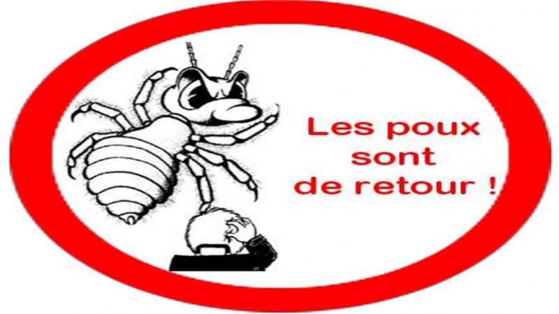 Halte Aux Poux Sur La Tete De Nos Cherubins