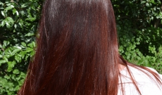 A quoi ressemblent les cheveux de la patronne ?