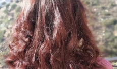 Où en sont les cheveux de la patronne ?
