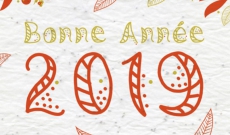 Bonne année 2019...A toutes celles qui ....