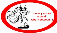 Halte aux poux sur la tête de nos chérubins !