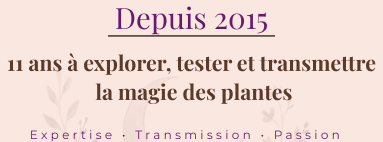 11 ann&eacute;es &agrave; votre service !
