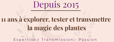 11 ann&eacute;es &agrave; votre service !