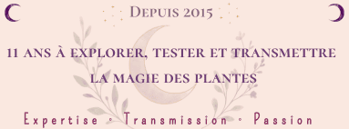 11 ann&eacute;es &agrave; votre service !