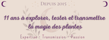 11 ann&eacute;es &agrave; votre service !